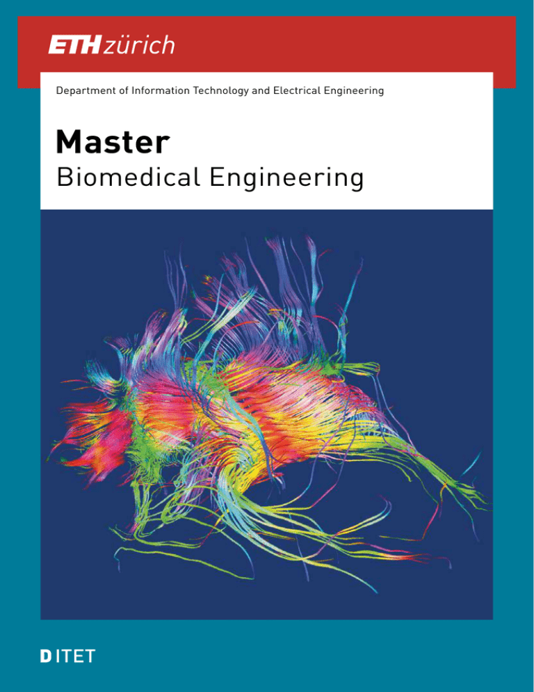 master thesis in biomedical engineering
