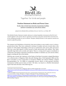 Position Statement on Birds and Power Lines