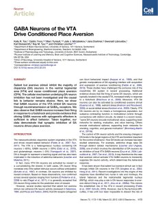 GABA Neurons of the VTA Drive Conditioned Place Aversion