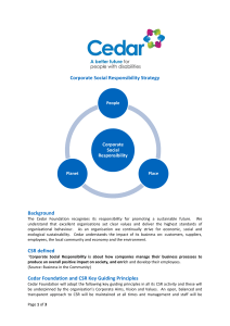 CSR Strategy 2012 - The Cedar Foundation