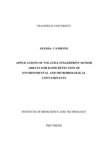 Canhoto, O PhD Thesis