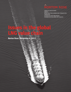 Issues in the global LNG value chain