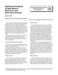 Nutritional Analysis of New Mexico Blue Corn and Dent Corn Kernels