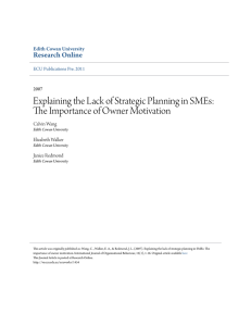 Explaining the Lack of Strategic Planning in SMEs