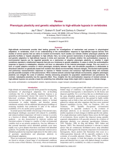 Phenotypic plasticity and genetic adaptation to high