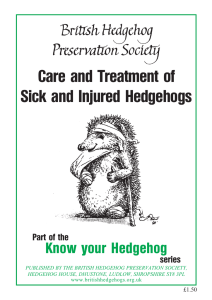 Care and Treatment of Sick and Injured Hedgehogs