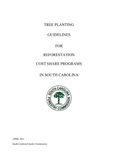 TREE PLANTING GUIDELINES FOR