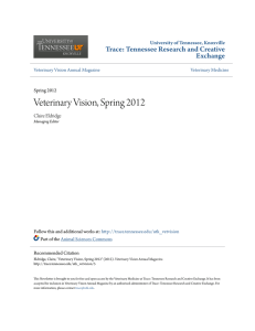 Veterinary Vision, Spring 2012 - Trace