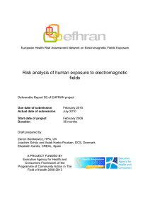 Risk analysis of human exposure to electromagnetic fields