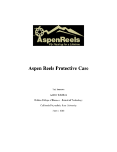 Aspen Reels Protective Case