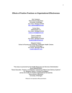 Effects of Positive Practices on Organizational Effectiveness