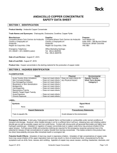 Copper Concentrate Carmen de Andacollo SDS