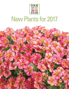 the New Varieties for 2017 PDF here