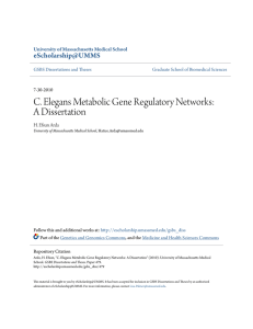 C. Elegans Metabolic Gene Regulatory Networks