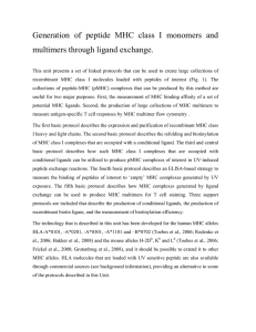 Generation of peptide MHC class I monomers and multimers