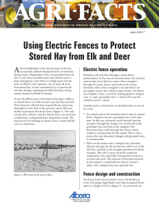 Electric Fences - Stored Hay.pmd