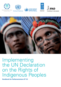 Implementing the UN Declaration on the Rights of Indigenous Peoples