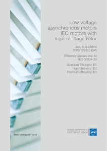Low voltage asynchronous motors IEC motors with squirrel