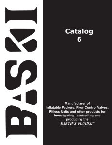 Catalog 6 - Baski, Inc.