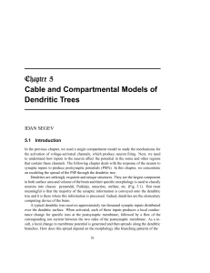 Cable and Compartmental Models of Dendritic Trees