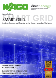 Products, Solutions and Expertise for the Energy Networks
