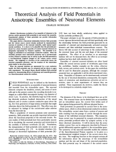 Anisotropic Ensembles of Neuronal Elements