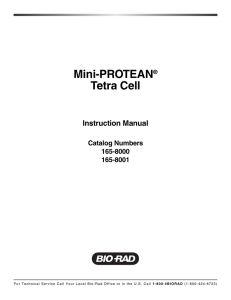 Mini-PROTEAN® Tetra Cell - Bio-Rad