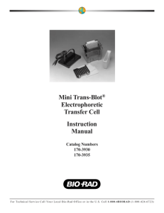 Mini Trans-Blot® Electrophoretic Transfer Cell Instruction Manual