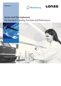 Lonza Nucleic Acid Electrophoresis brochure