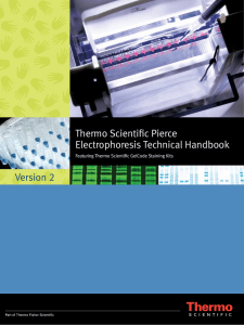 Electrophoresis Technical Handbook