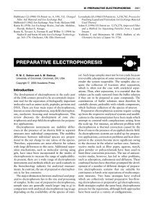 preparative electrophoresis