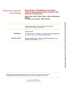 Salivary Components Fimbria-Associated Surface Proteins with