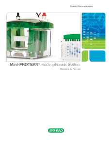 Mini-PROTEAN® Electrophoresis System