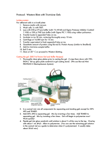 Protocol: Western Blots with Tris