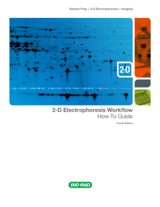 2-D Electrophoresis Workflow How-To Guide