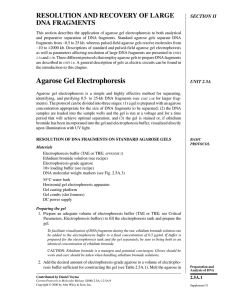 "Agarose Gel Electrophoresis". In: Current Protocols in Molecular