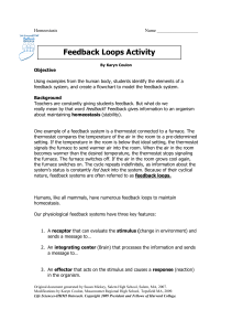 Feedback Loops Activity - Life Sciences Outreach Program