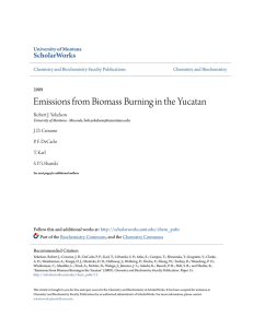 Emissions from Biomass Burning in the Yucatan