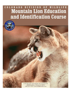 Mountain Lion Education and Identification Course