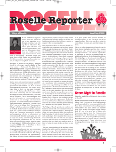 Roselle Reporter March/April 2008
