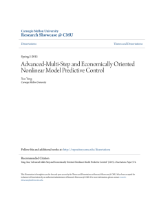 Advanced-Multi-Step and Economically Oriented Nonlinear Model
