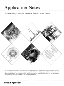 Vibration Diagnostics for Industrial Electric Motor Drives