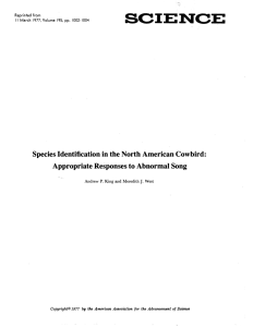 Species Identification in the North American Cowbird