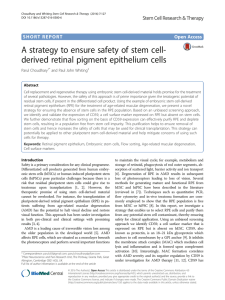 A strategy to ensure safety of stem cell