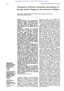 Preparation of Bruch`s membrane and analysis of the age