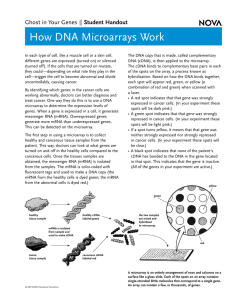 How DNA Microarrays Work