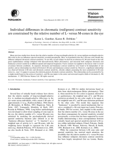 Individual differences in chromatic (red/green)