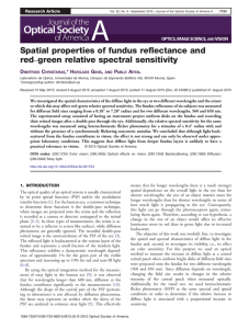Spatial properties of fundus reflectance and red–green relative