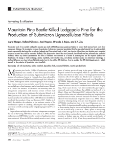 Mountain Pine Beetle-Killed Lodgepole Pine for the Production of