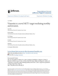 Vimentin is a novel AKT1 target mediating motility and invasion.